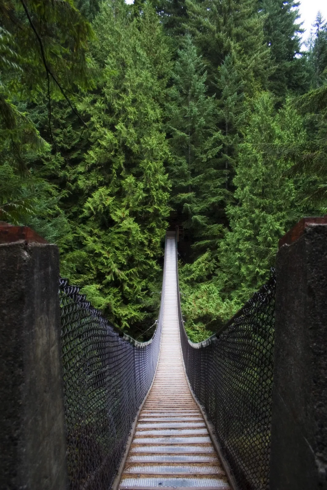 Lynn Canyon Park