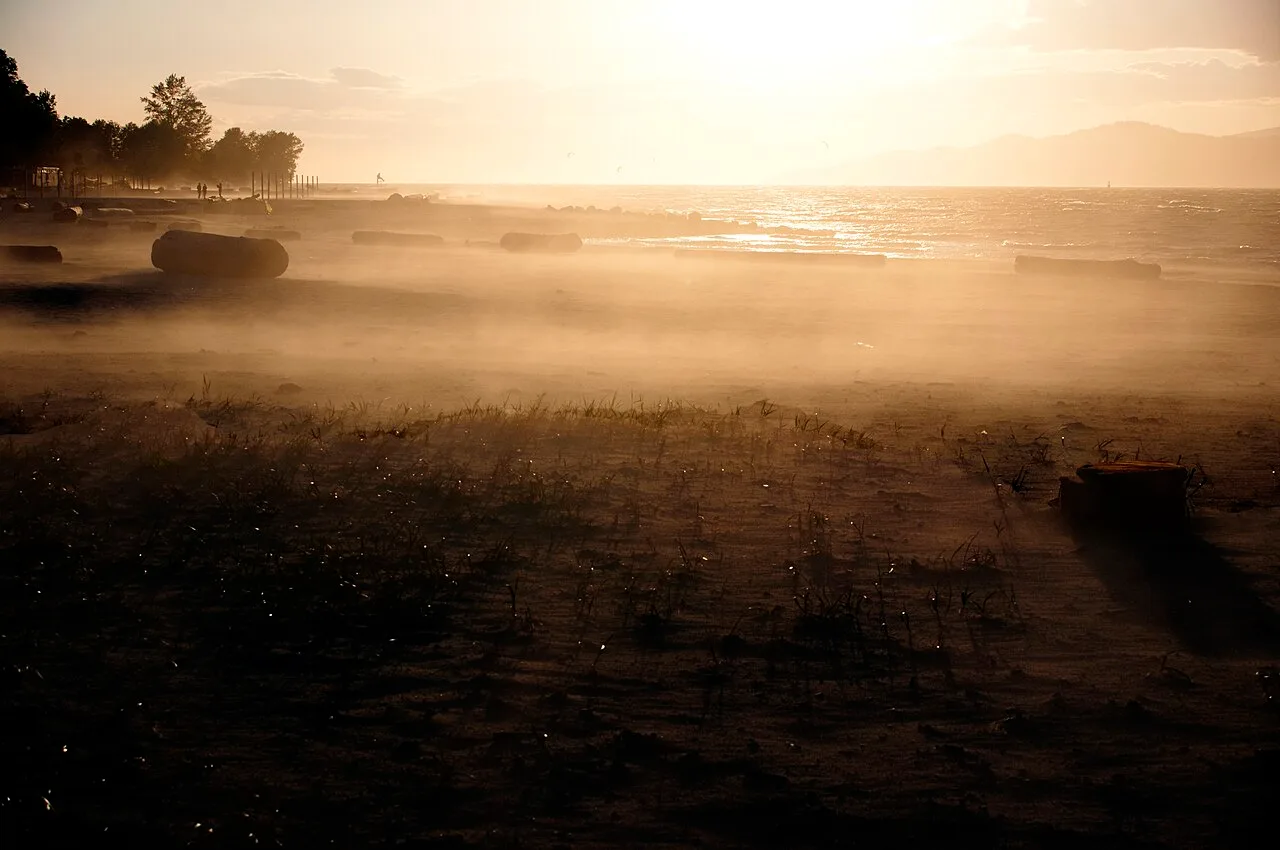 Spanish Banks