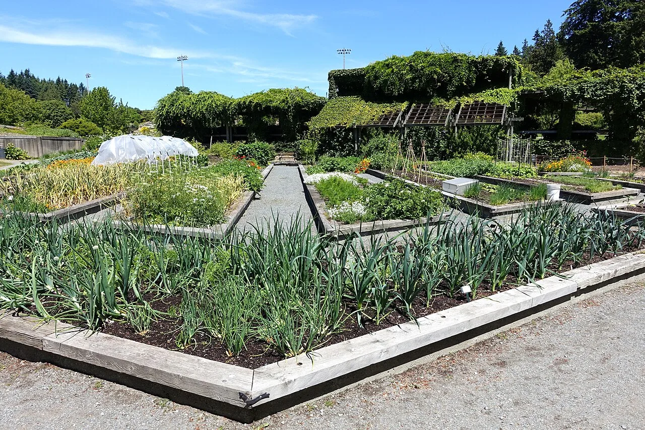 UBC Botanical Garden