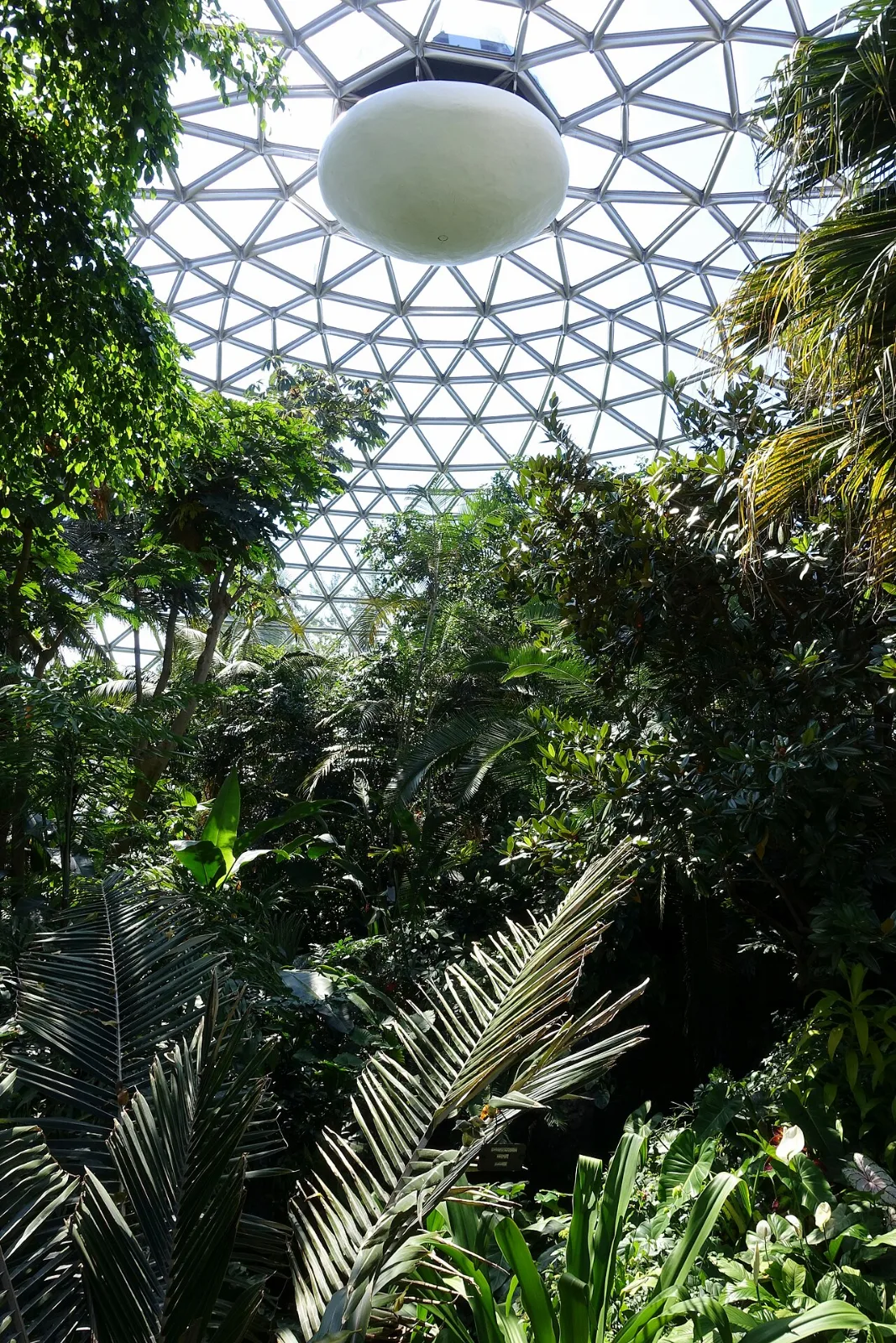 Bloedel Conservatory